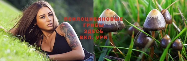 хмурый Осташков