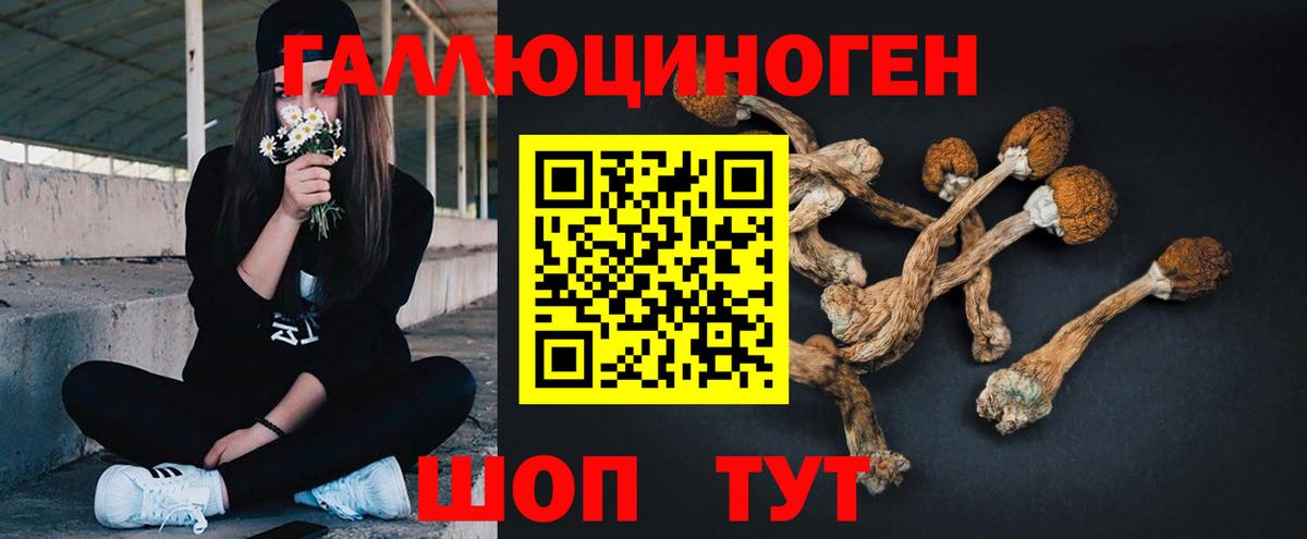 Псилоцибиновые грибы MAGIC MUSHROOMS  Галлюциногенные грибы Magic Shrooms  Санкт-Петербург  как найти наркотики  Вход с VPN 